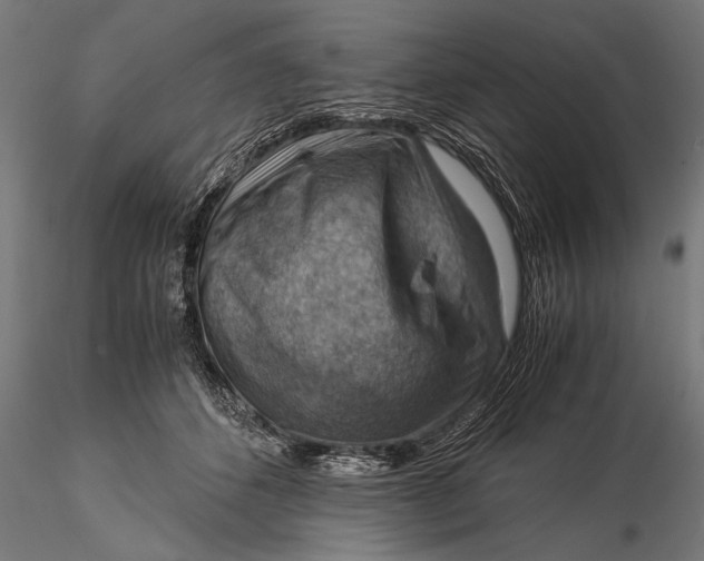 X0000116060512200912111531