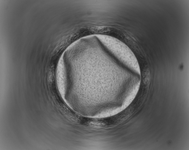 X0000116060515200912111531