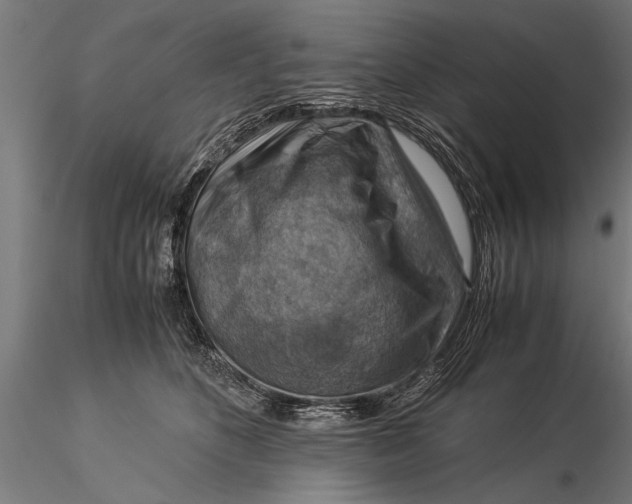 X0000116060516200912111531