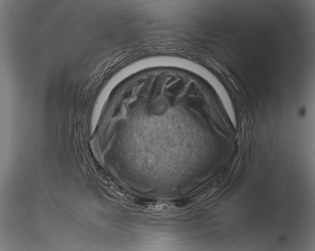 X0000116060517200912111531