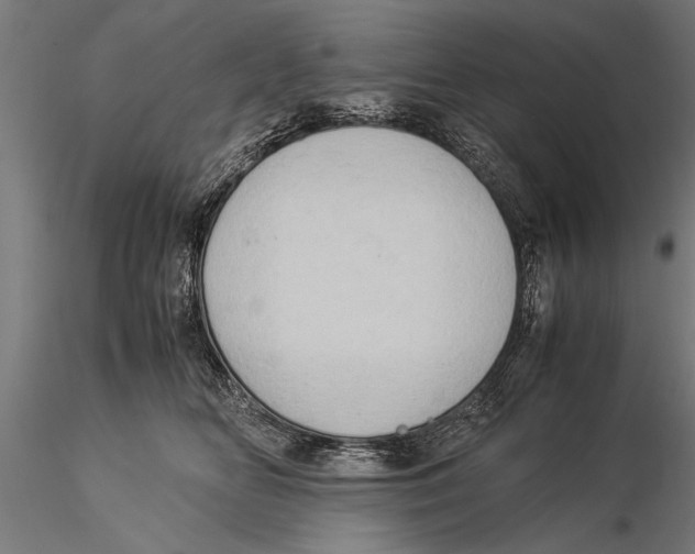 X0000116060518200912111531