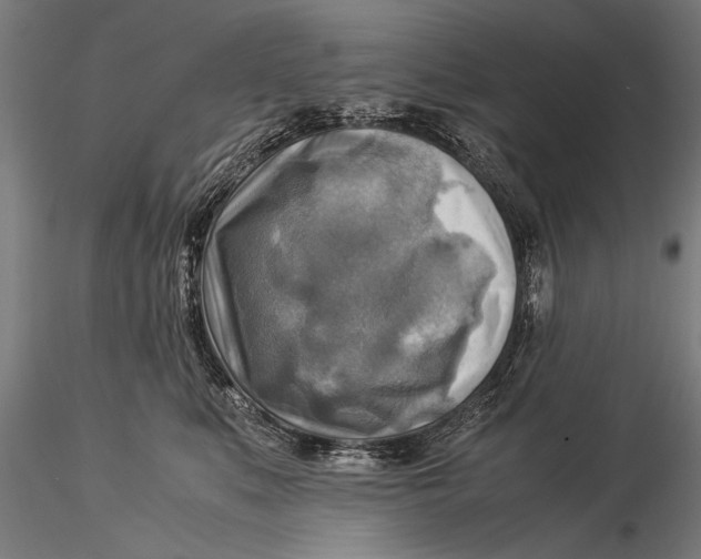 X0000116060519200912111531