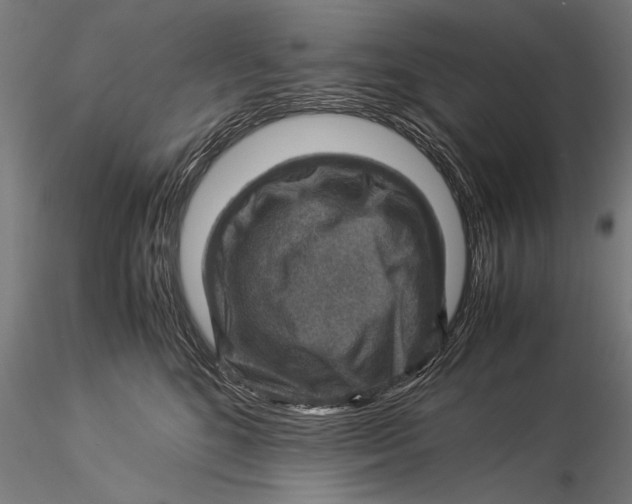 X0000116060520200912111531