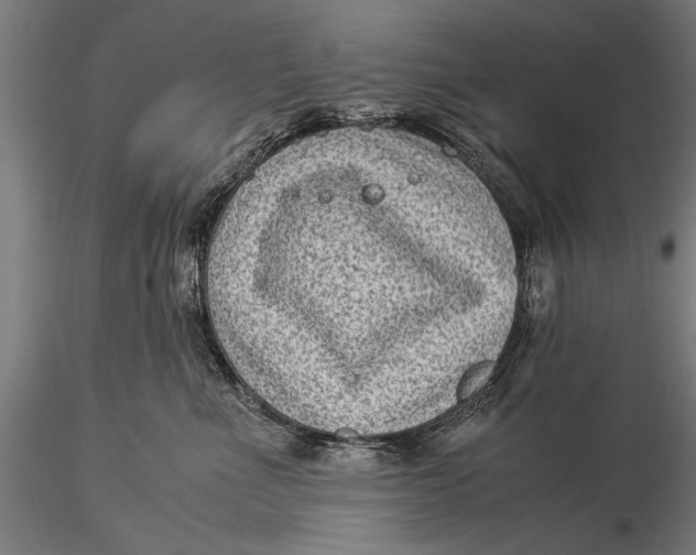 X0000116060523200912111531