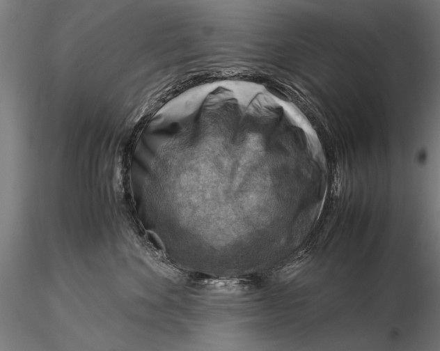 X0000116060524200912111531