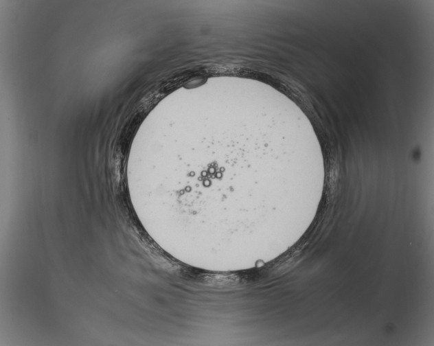 X0000116060525200912111531