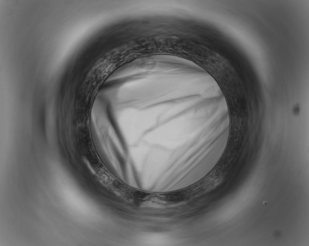 X0000116060526200912111531