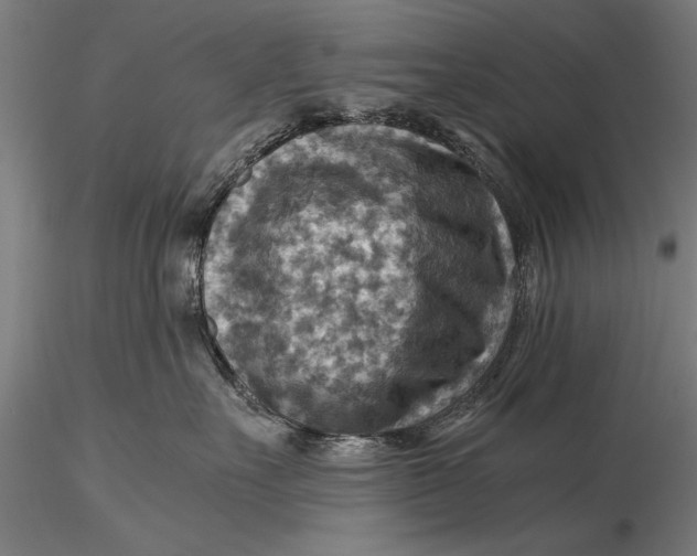 X0000116060527200912111531