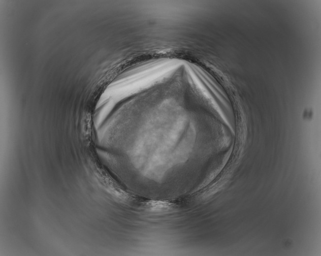 X0000116060528200912111531