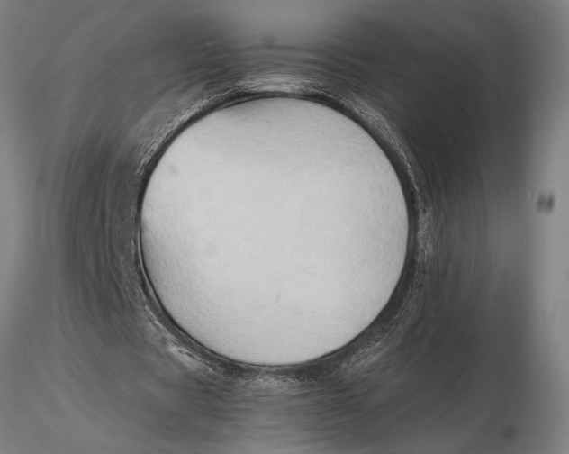 X0000116060529200912111530