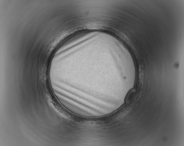 X0000116060530200912111530