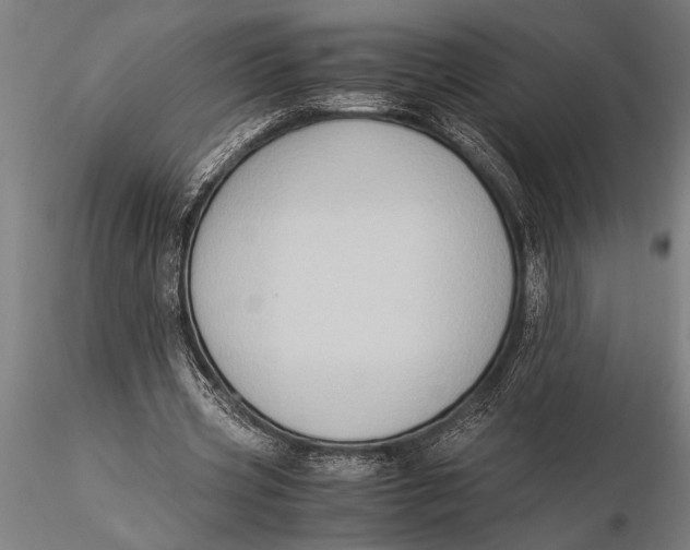 X0000116060533200912111530