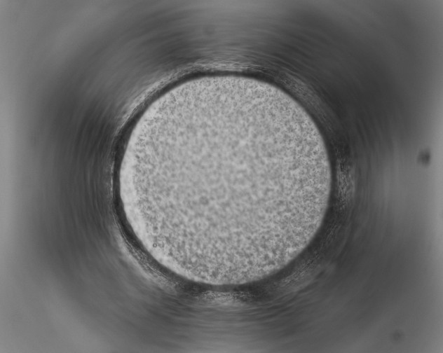 X0000116060534200912111530