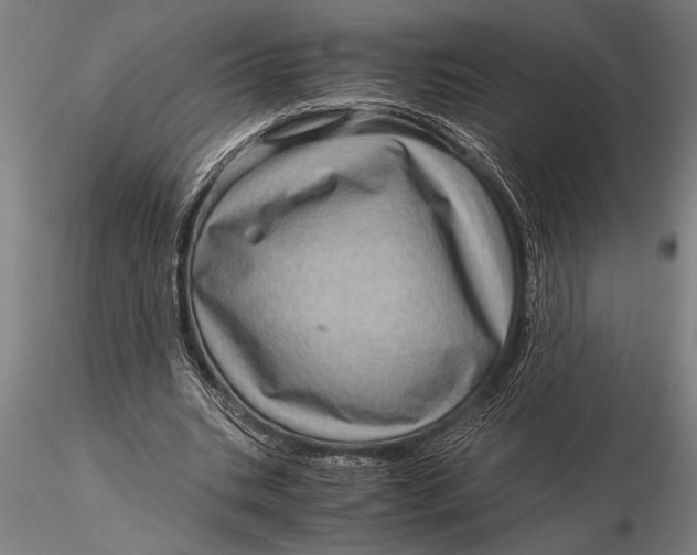 X0000116060535200912111530