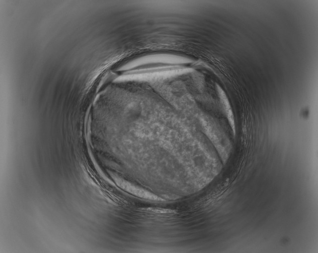 X0000116060539200912111530