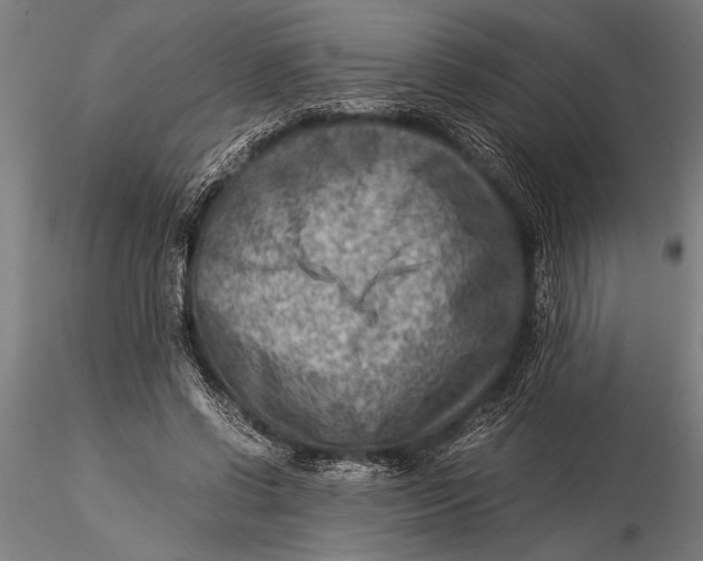 X0000116060542200912111530