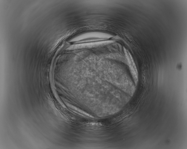 X0000116060543200912111530