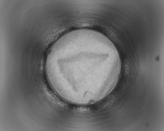 X0000116060546200912111530