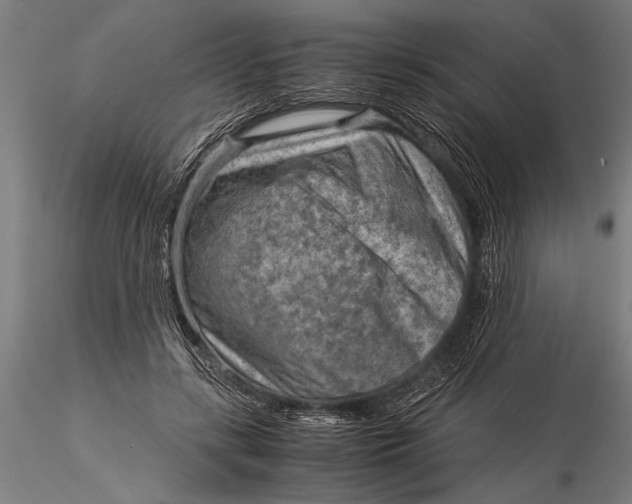 X0000116060547200912111530