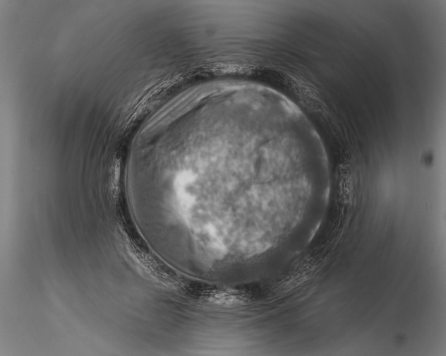 X0000116060550200912111531