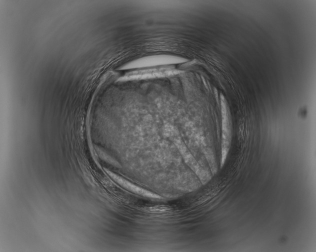 X0000116060551200912111531