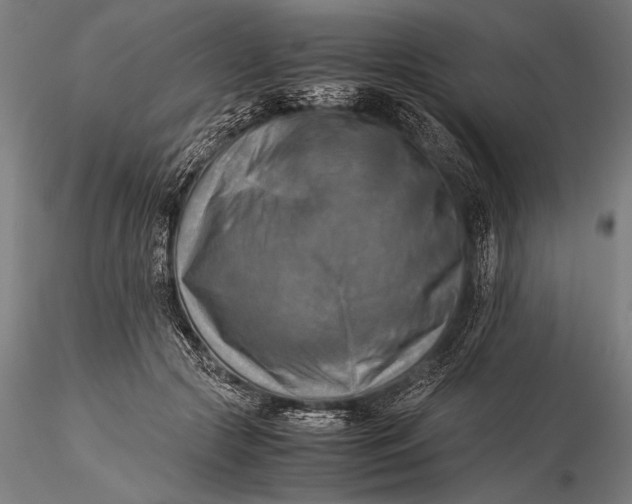 X0000116060553200912111531