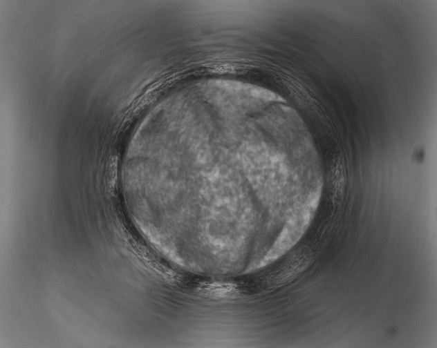 X0000116060554200912111531