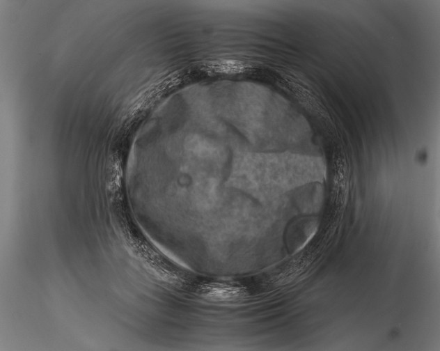 X0000116060555200912111531