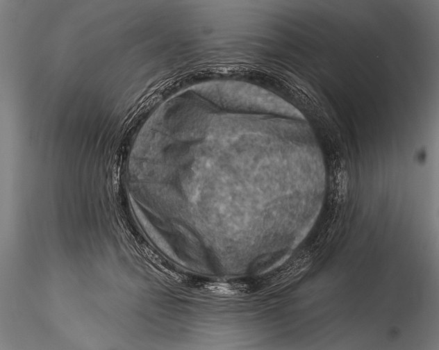 X0000116060558200912111531