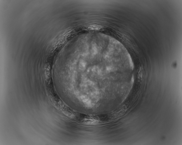 X0000116060559200912111531