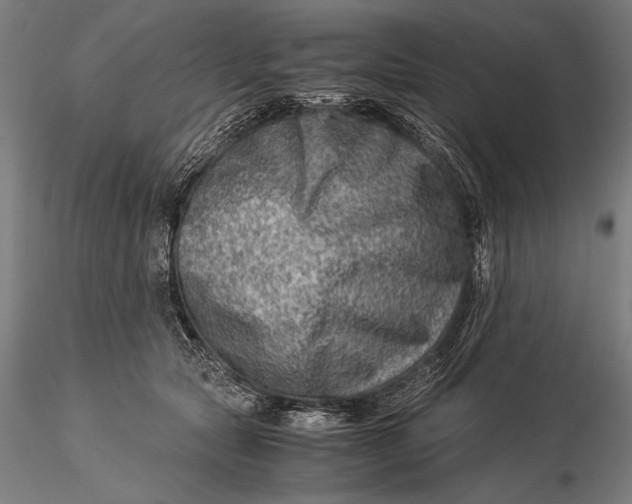 X0000116060561200912111531