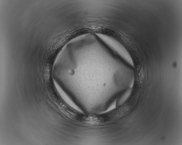 X0000116060562200912111531