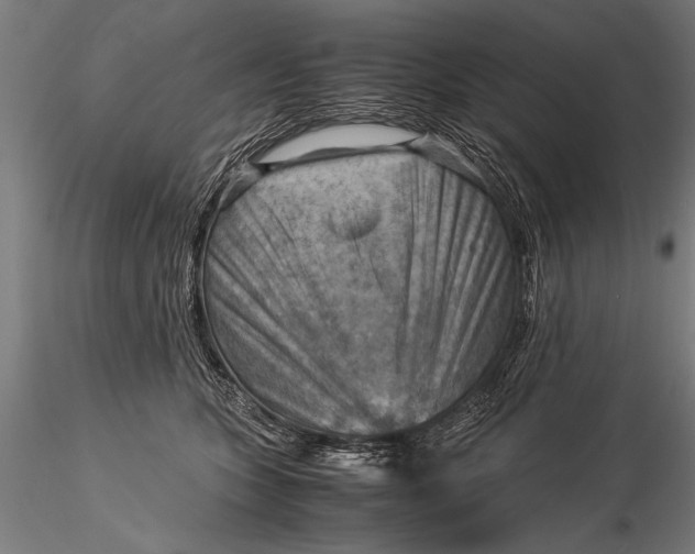 X0000116060563200912111531