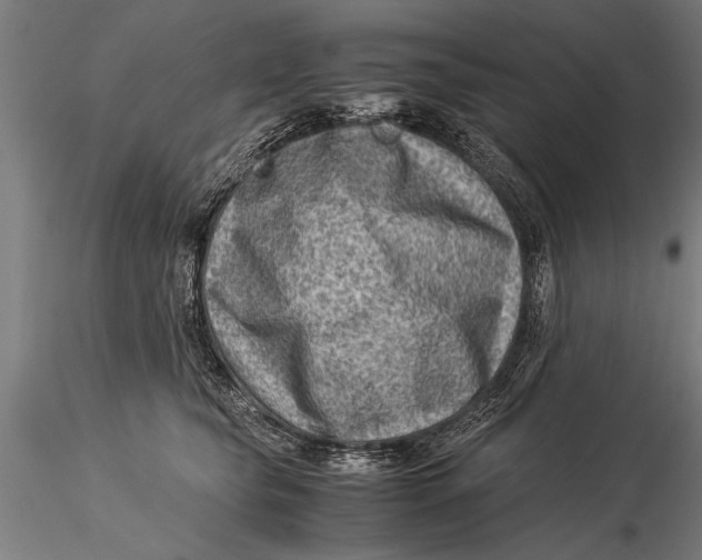 X0000116060565200912111531