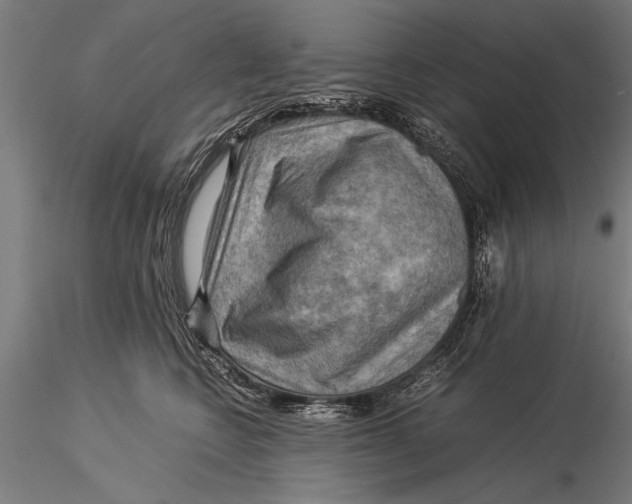 X0000116060566200912111531