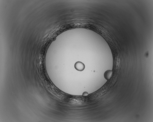 X0000116060567200912111531