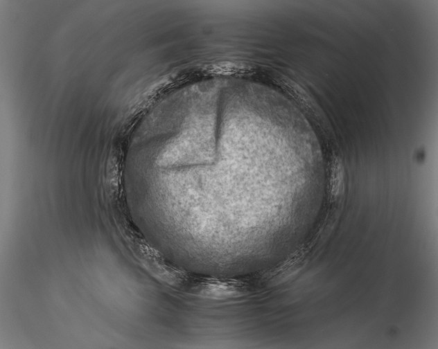 X0000116060569200912111531