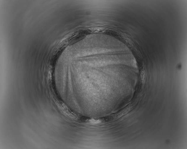 X0000116060570200912111531