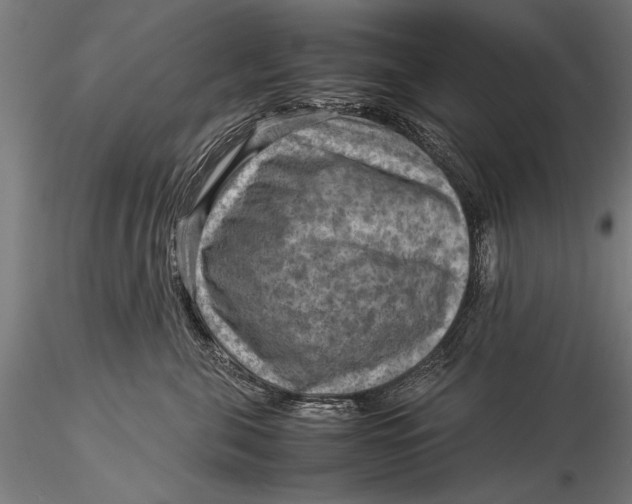 X0000116060571200912111531