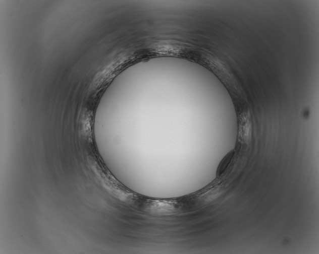 X0000116060573200912111531