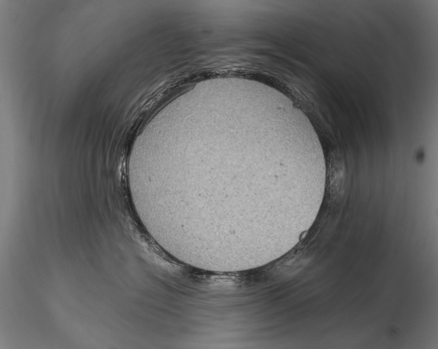 X0000116060574200912111531