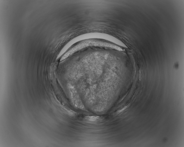 X0000116060575200912111531