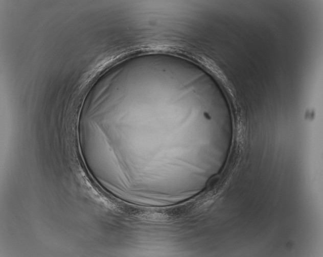 X0000116060577200912111530