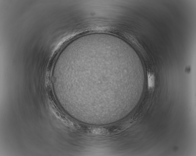 X0000116060579200912111530