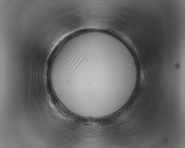 X0000116060580200912111530