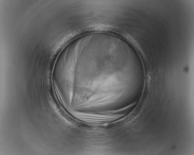 X0000116060581200912111530