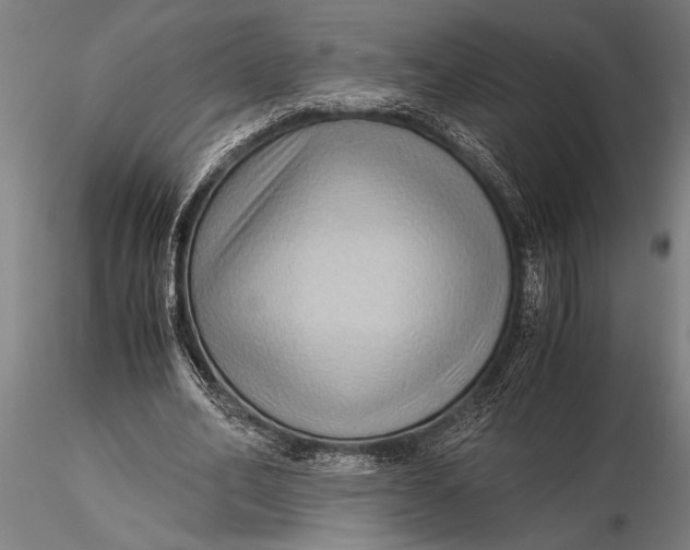 X0000116060582200912111530