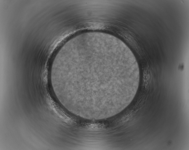 X0000116060584200912111530