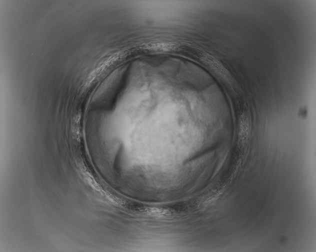 X0000116060585200912111530