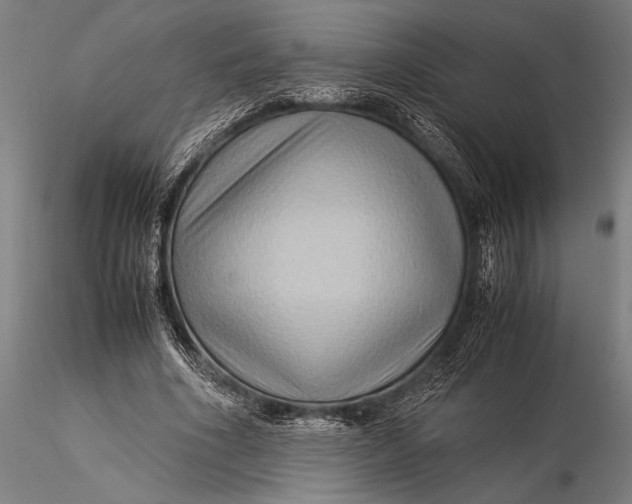 X0000116060586200912111530